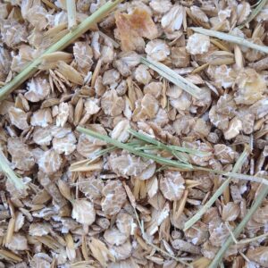 علف خيل (SF 36 )