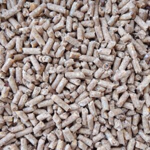 علف حمام ودواجن لاحم مع الثوم