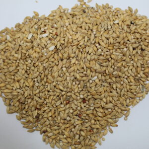 علف حمام ودواجن (مخلوط مطيار)