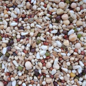 علف حمام (SP-2)