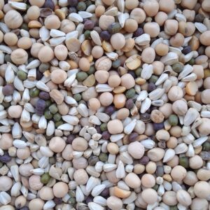 علف حمام (p-7)