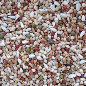 علف حمام ( p-9 )