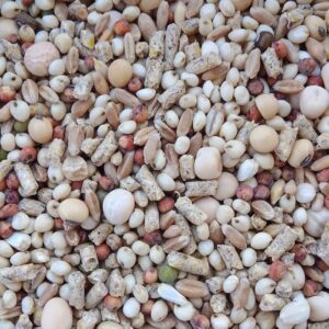 علف حمام ودواجن (مخلوط سوبر وان)