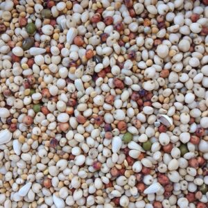 علف حمام ودواجن (مخلوط ياكريم)