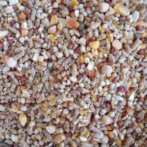 علف حمام ودواجن (مخلوط بدون شعير)