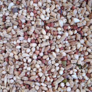 علف حمام ودواجن (مخلوط S.k.f 2)