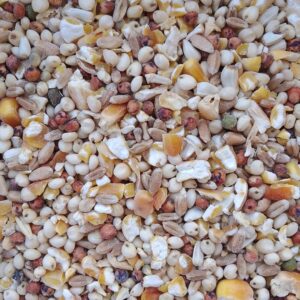 علف حمام ودواجن (مخلوط اسباشيل)