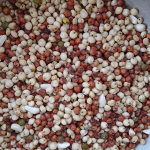 علف حمام ودواجن ( بدون حنطة )