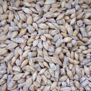 علف حمام ودواجن (مخلوط كيماوي)