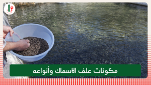 Read more about the article مكونات علف الاسماك وأنواعه