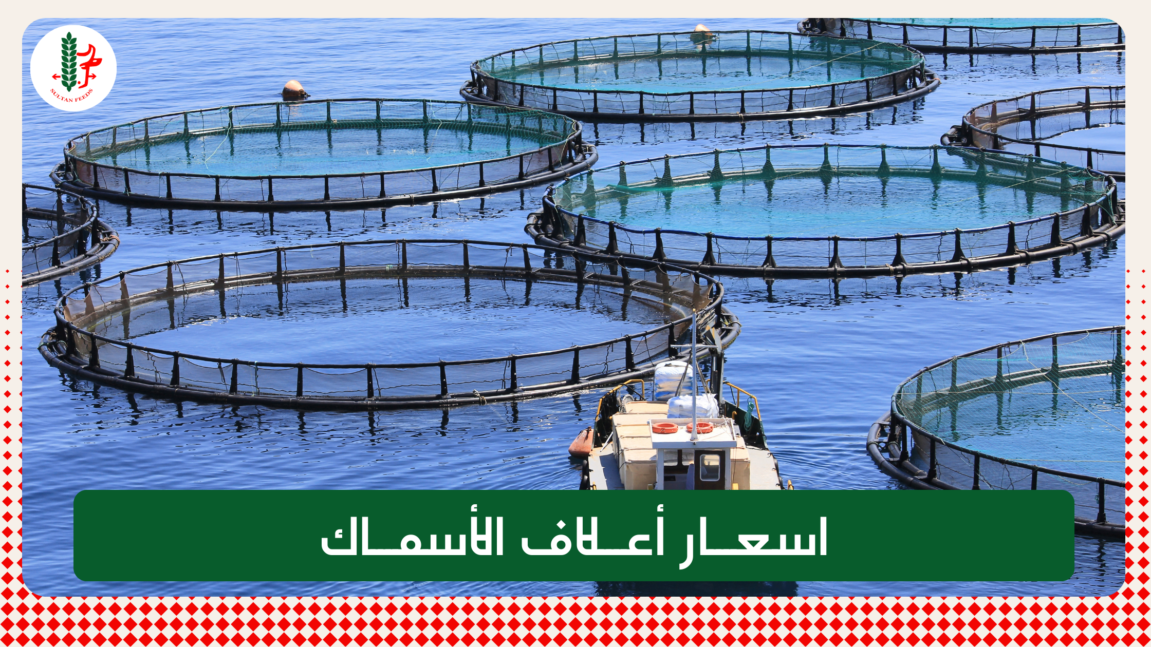 Read more about the article أسعار أعلاف الأسماك