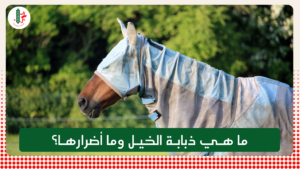 Read more about the article ما هي ذبابة الخيل وما أضرارها؟