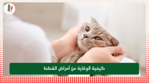 Read more about the article كيفية الوقاية من أمراض القطط
