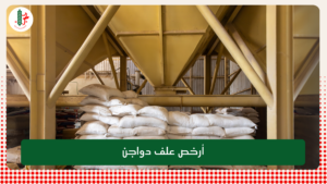 Read more about the article تكلفة انشاء مصنع اعلاف دواجن