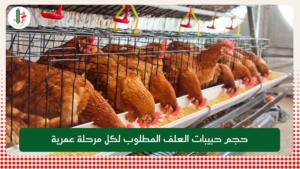 Read more about the article حجم حبيبات العلف المطلوب لكل مرحلة عمرية