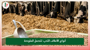 Read more about the article أنواع الأعلاف التي تتحمل الملوحة
