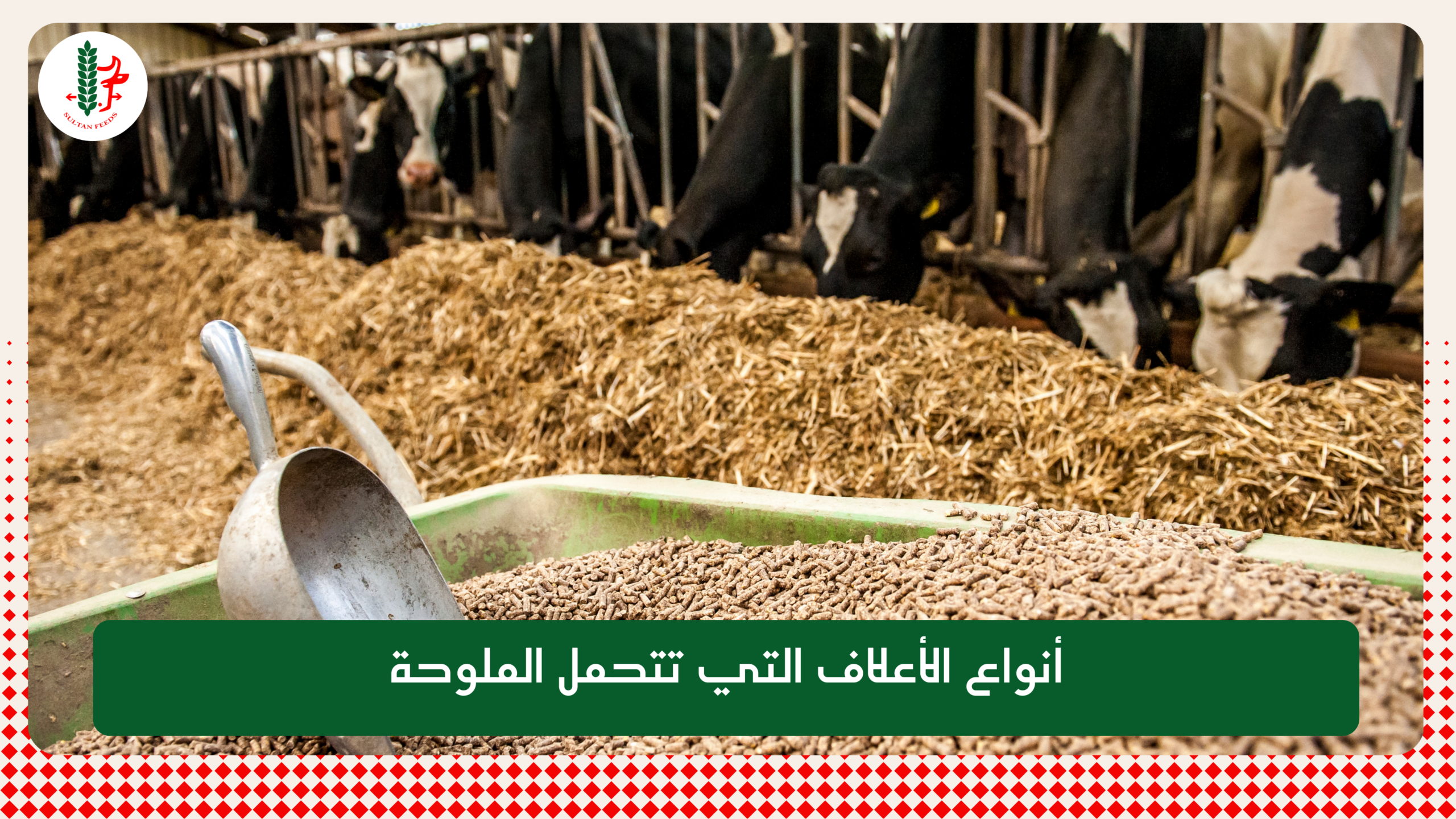 Read more about the article أنواع الأعلاف التي تتحمل الملوحة