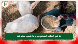 Read more about the article ما هو العلف العضوي وما هي مكوناته