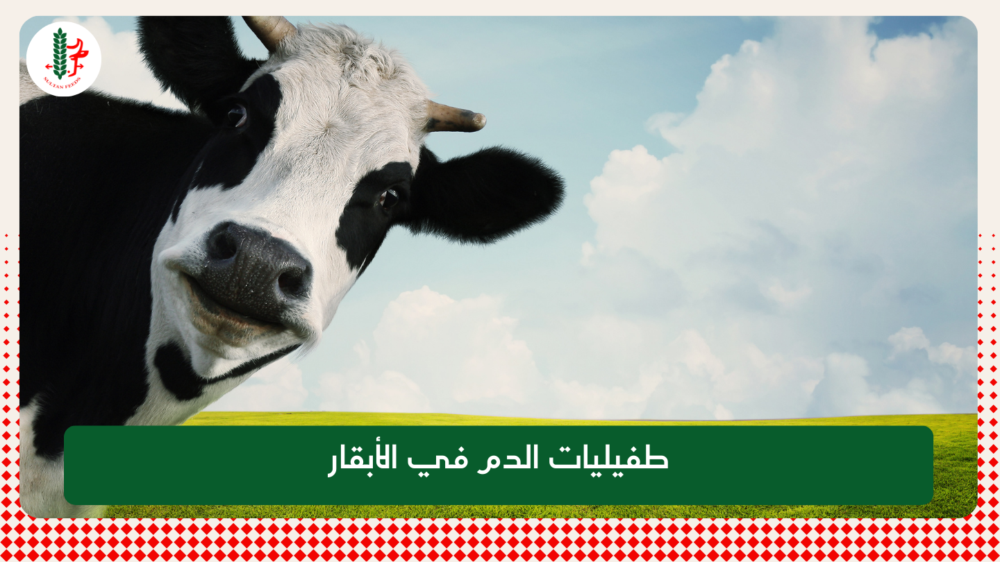 Read more about the article طفيليات الدم في الأبقار