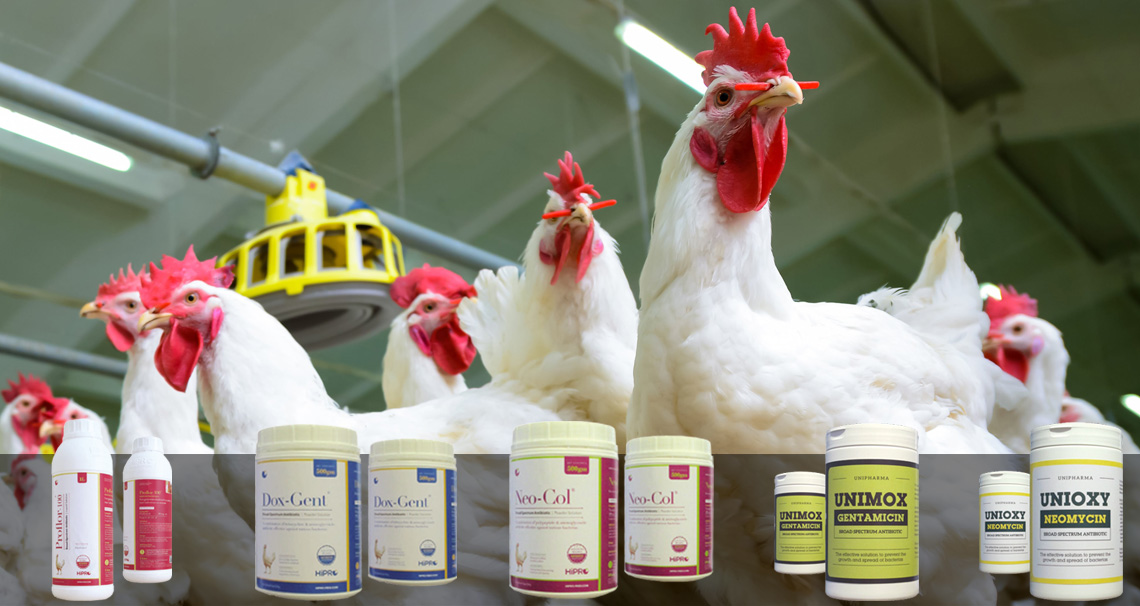 Read more about the article الاستخدام الأمن لـ المضادات الحيوية وتفادي آثارها السلبية