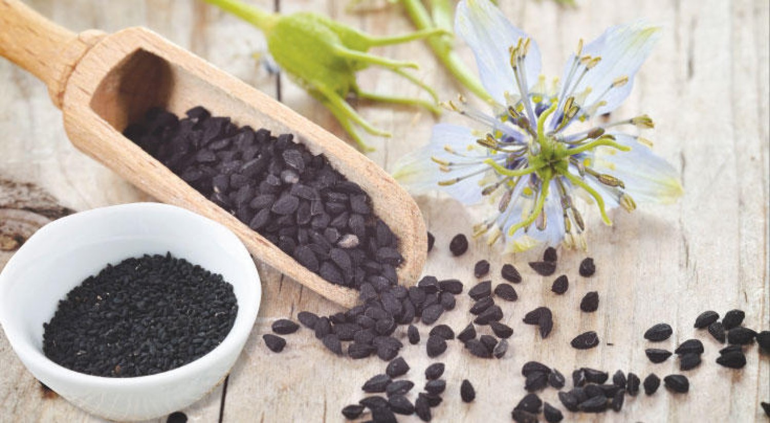 Read more about the article فوائد حبة البركة للدواجن