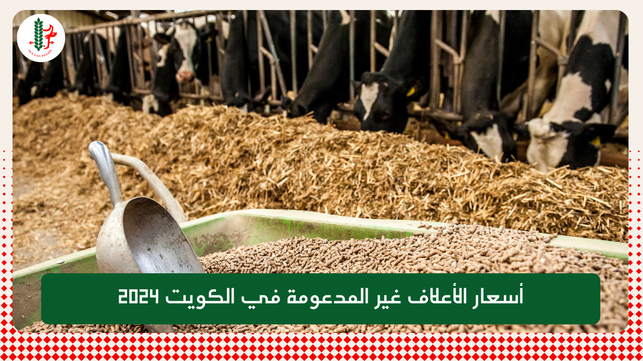 Read more about the article أسعار الأعلاف غير المدعومة في الكويت 2024