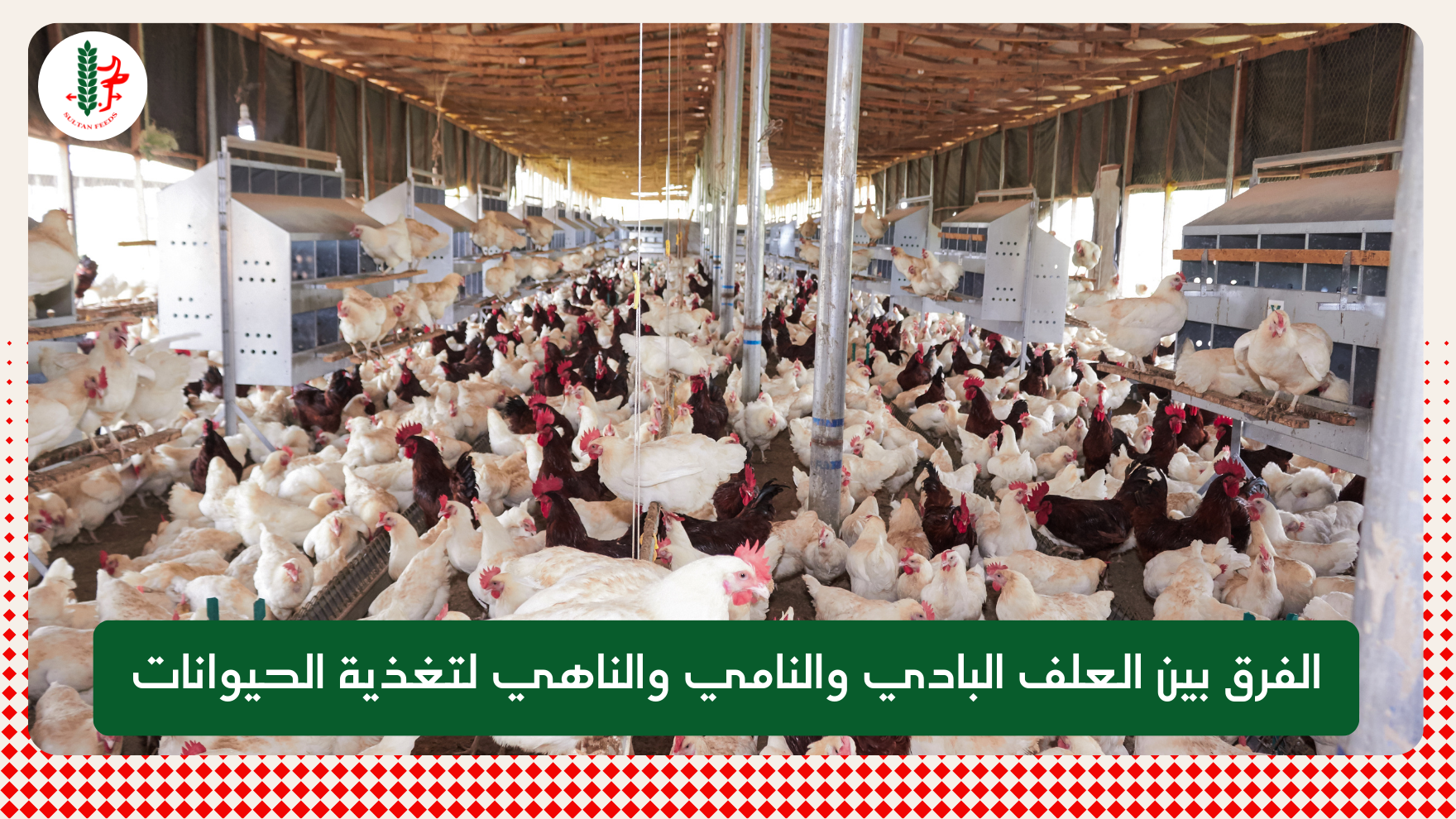 Read more about the article الفرق بين العلف البادي والنامي والناهي لتغذية الحيوانات