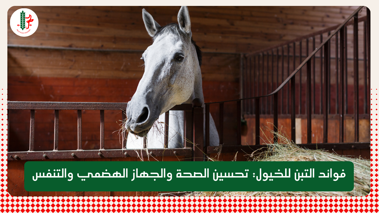 Read more about the article فوائد التبن للخيول: تحسين الصحة العامة والجهاز الهضمي والتنفس
