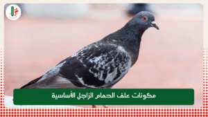 Read more about the article مكونات علف الحمام الزاجل الأساسية