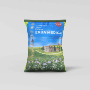 جت كبسول (برسيم حجازي)