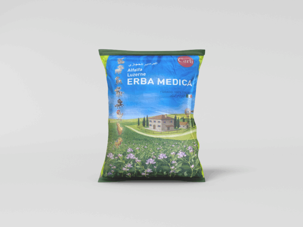 جت كبسول (برسيم حجازي)