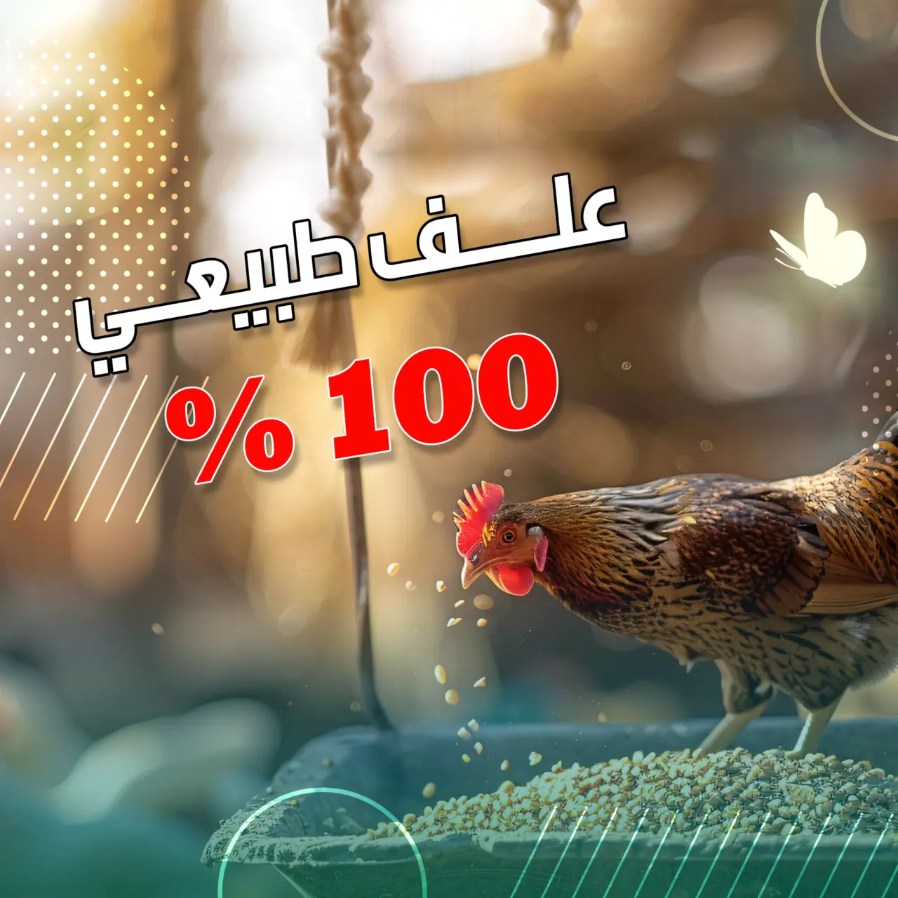 سوق السلطان